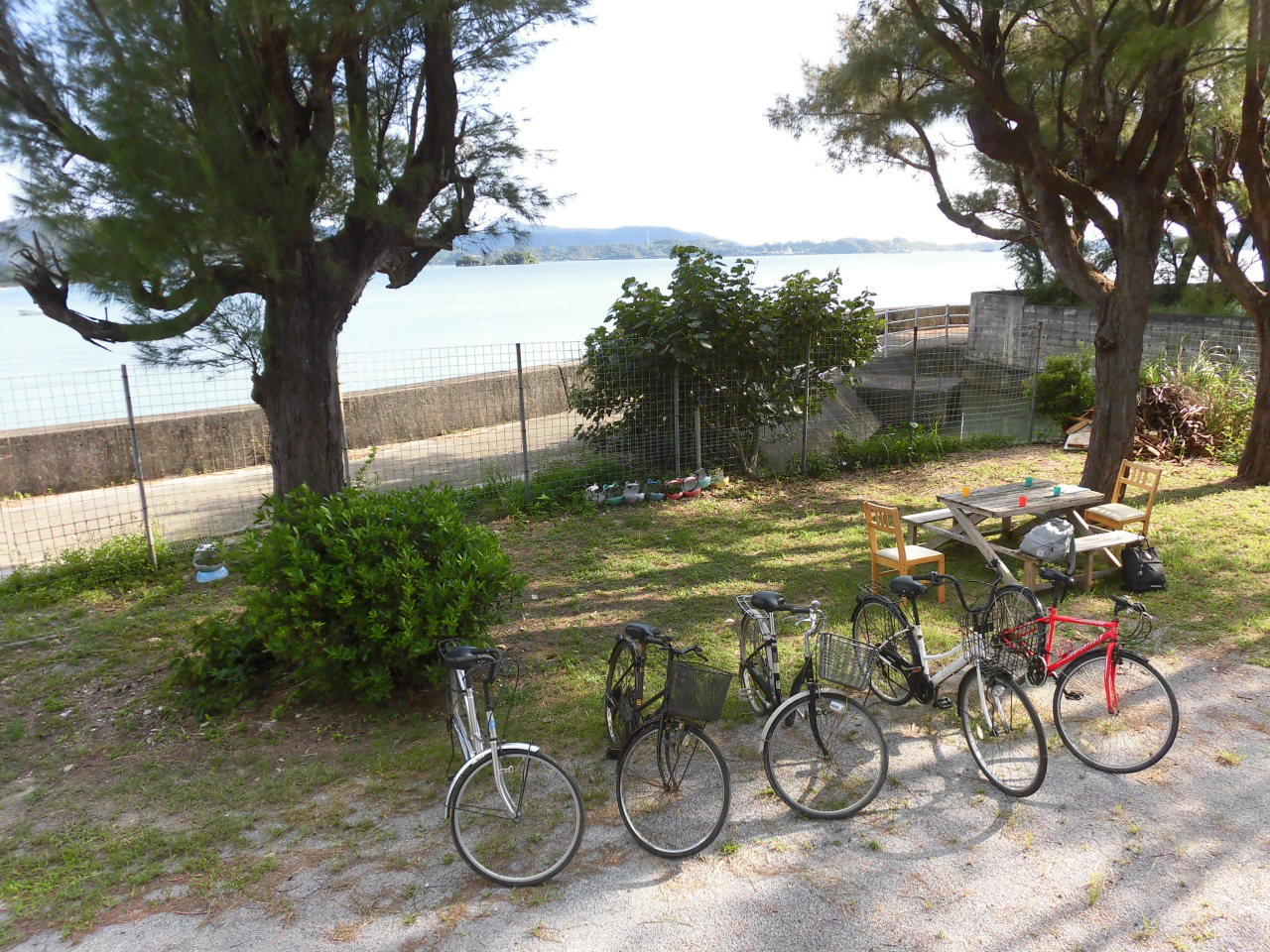 自転車で島内をのんびりサイクリング