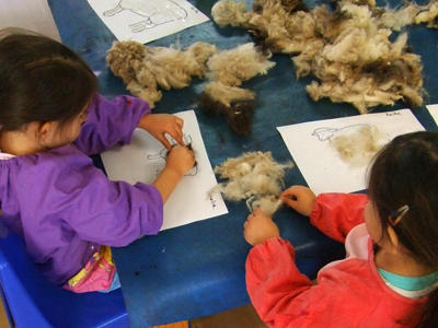 塗り絵に羊毛を貼りつける図工の授業。まさにニュージーランド！