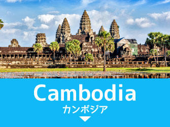 intern-cambodia-button